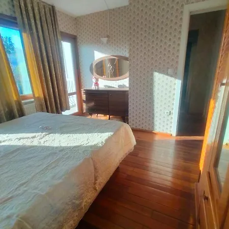 Luxury In Sultanahmet 别墅 伊斯坦布尔