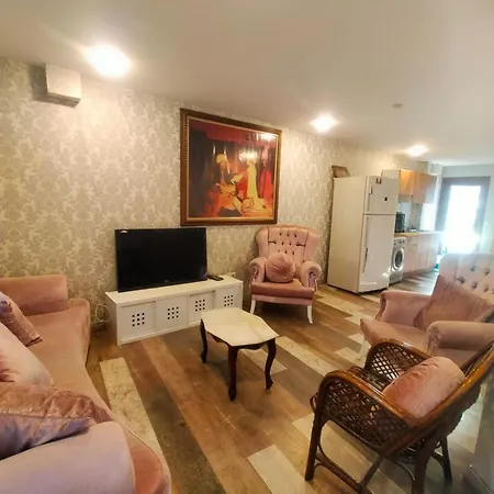 别墅 Luxury In Sultanahmet